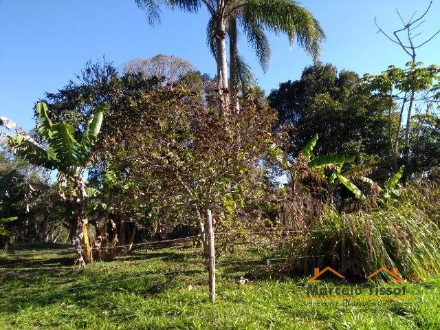 Terreno para Venda em Florianópolis - 3