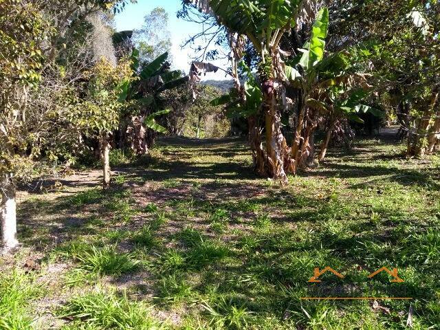 Terreno para Venda em Florianópolis - 5
