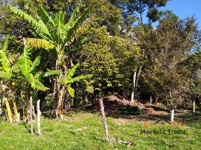 Terreno para Venda em Florianópolis - 4