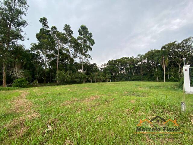 Terreno para Venda em Florianópolis - 4