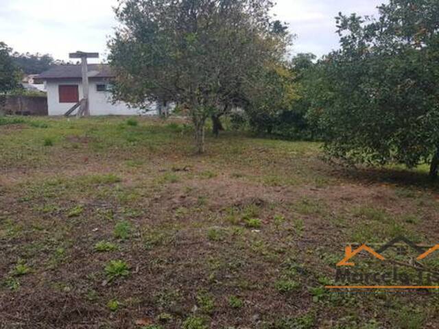 Terreno para Venda em Florianópolis - 3