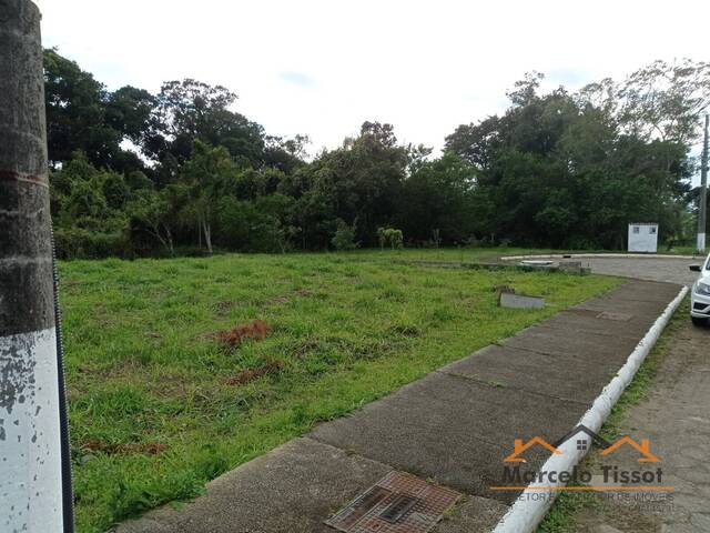 Terreno para Venda em Florianópolis - 4