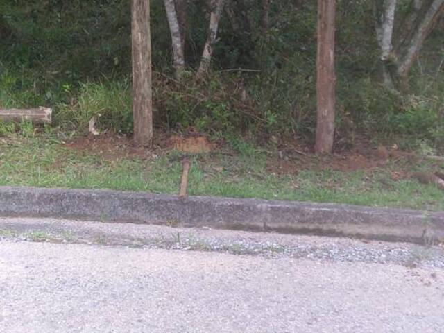 #T1091 - Terreno para Venda em Florianópolis - SC