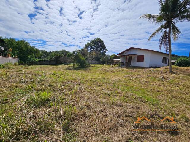 Terreno para Venda em Florianópolis - 5