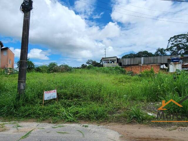Terreno para Venda em Florianópolis - 5