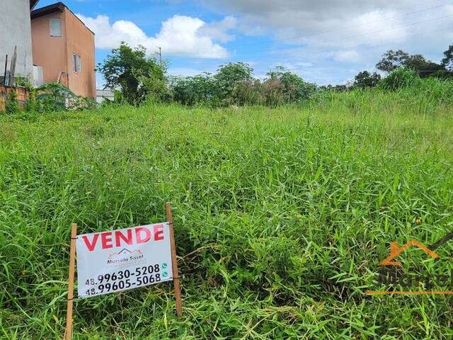 Terreno para Venda em Florianópolis - 3