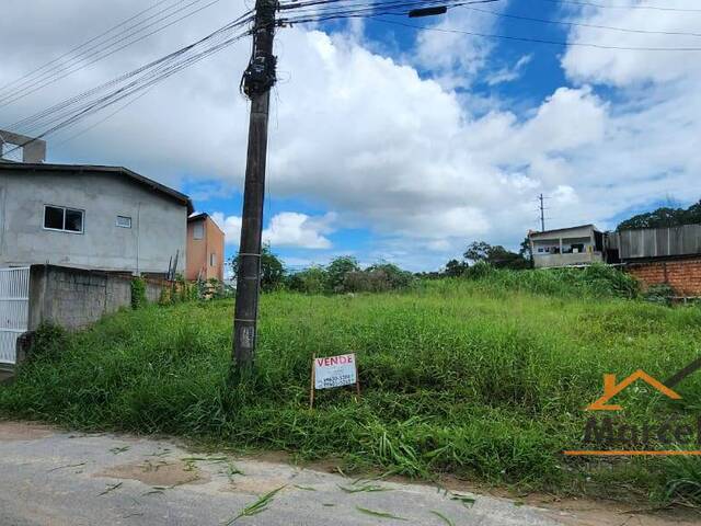 Terreno para Venda em Florianópolis - 4