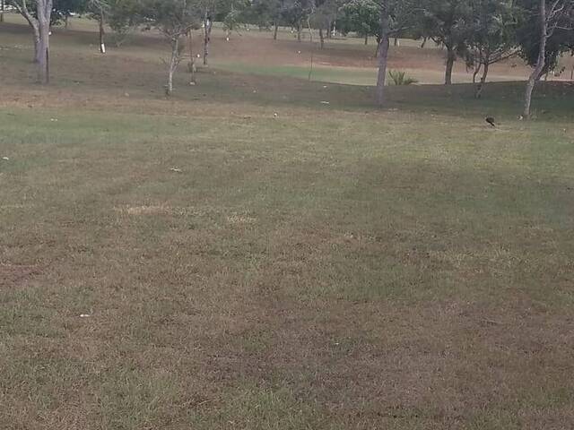 #T1200 - Terreno para Venda em Florianópolis - SC