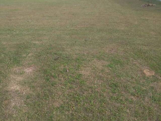 Terreno para Venda em Florianópolis - 4