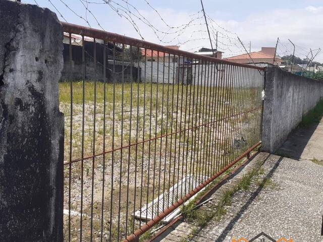 Terreno para Venda em Florianópolis - 4