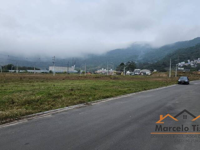 Terreno para Venda em Florianópolis - 5