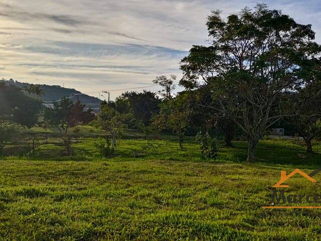 Terreno para Venda em Florianópolis - 4