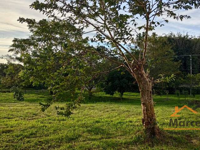 Terreno para Venda em Florianópolis - 5