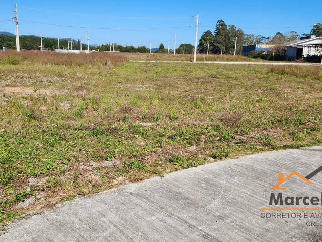 Terreno para Venda em Florianópolis - 3