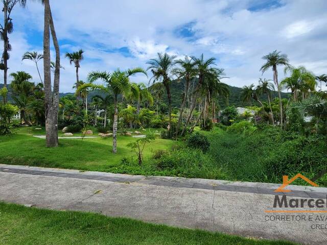 Terreno para Venda em Florianópolis - 2