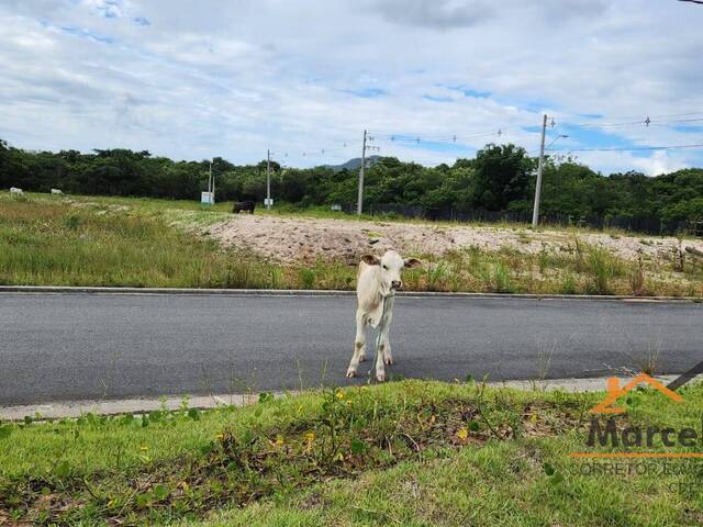 #T1236 - Terreno para Venda em Florianópolis - SC - 1