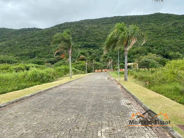 #T1241 - Terreno para Venda em Florianópolis - SC - 1