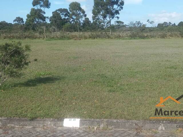 #T1243 - Terreno para Venda em Florianópolis - SC - 3