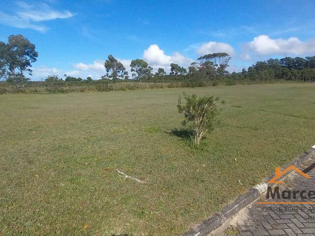 Terreno para Venda em Florianópolis - 4
