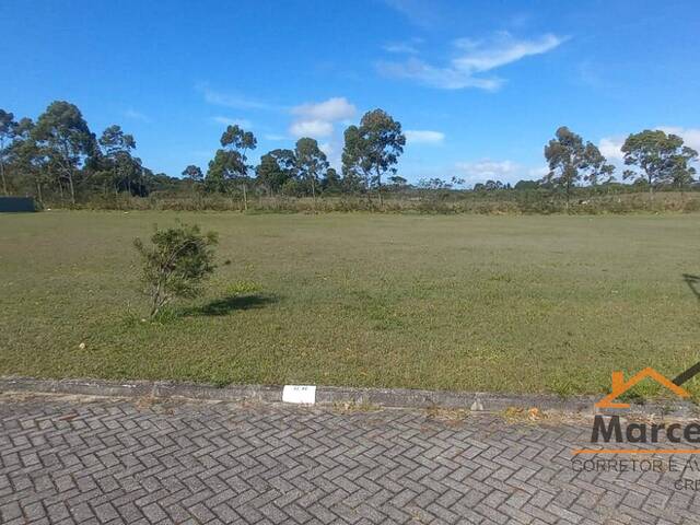 Terreno para Venda em Florianópolis - 5