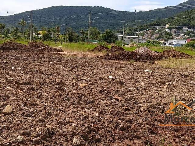 Terreno para Venda em Florianópolis - 4