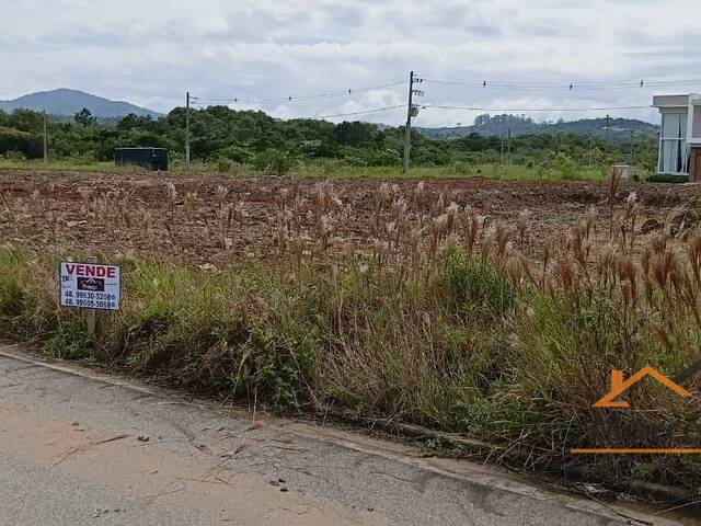 Terreno para Venda em Florianópolis - 5