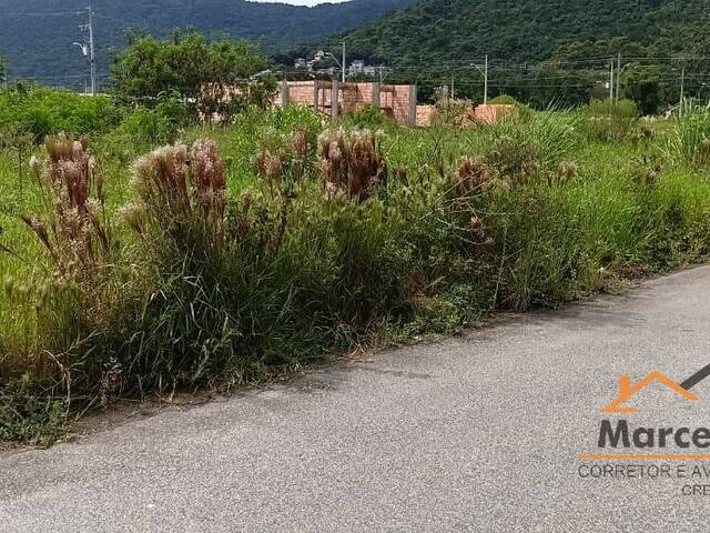 Terreno para Venda em Florianópolis - 4