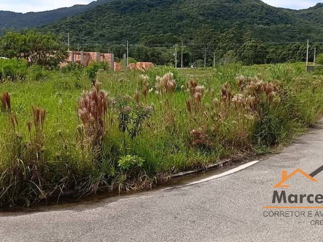 Terreno para Venda em Florianópolis - 5