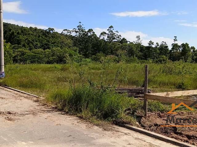 Terreno para Venda em Florianópolis - 4