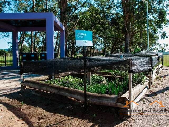 Terreno para Venda em Florianópolis - 5