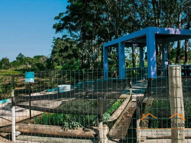 Terreno para Venda em Florianópolis - 3